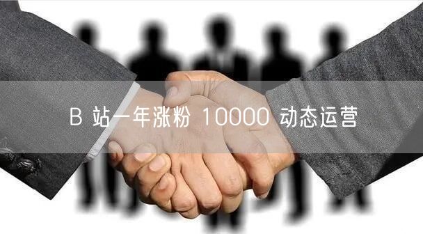 B 站一年涨粉 10000 动态运营