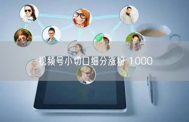 视频号小切口细分涨粉 1000