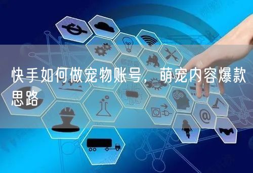 快手如何做宠物账号，萌宠内容爆款思路