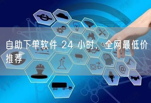 自助下单软件 24 小时，全网最低价推荐