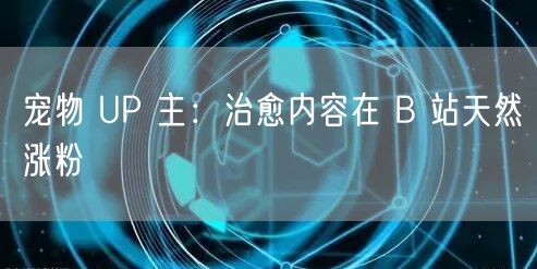 宠物 UP 主：治愈内容在 B 站天然涨粉